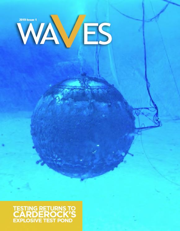 WAVES Issue 1