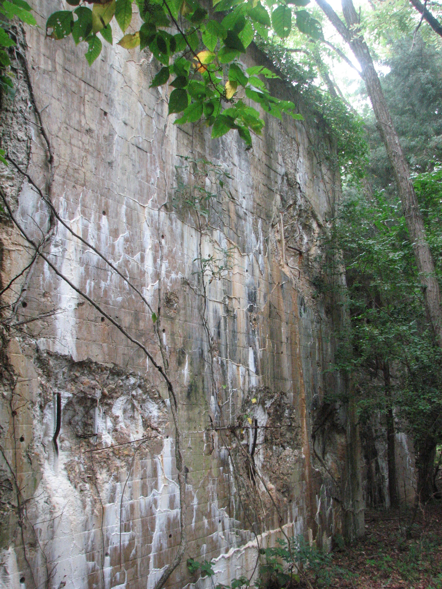 ELSIE blocks