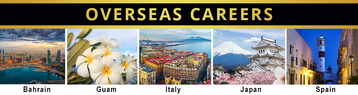 Overseas Careers header